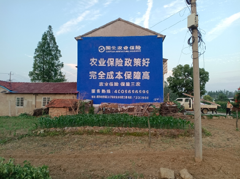 溧阳墙体广告为何受追捧？